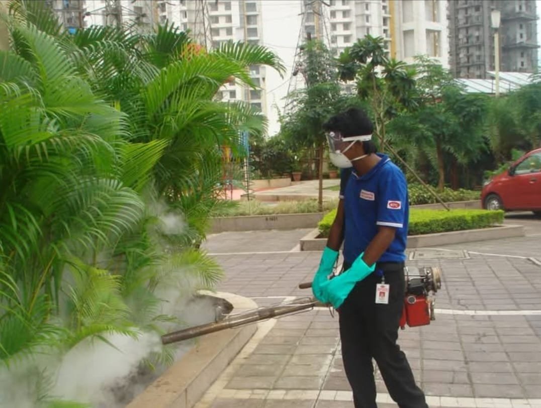 Pest Control Service - Garden Pumping